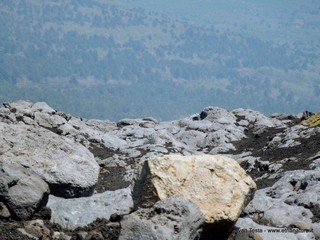 otta di Serracozzo-07-05-2017 13-41-24